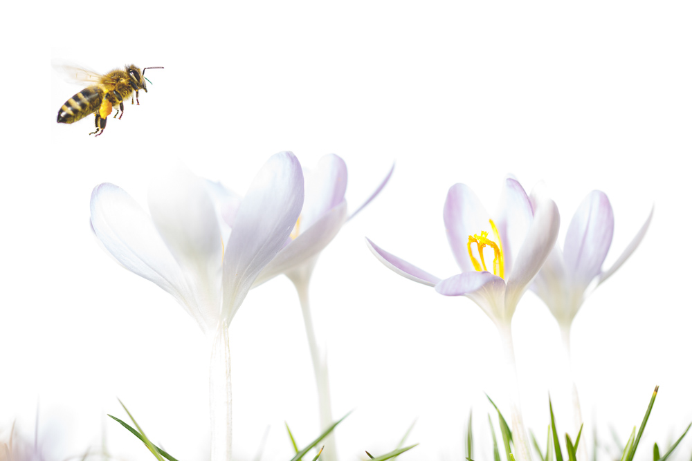 Platz 2 Daniela Korn